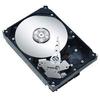 Western Digital Caviar blue 320Gb